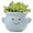 Blue, variant on Cute Face Planter Pot, Small Resin Head Planters for Indoor Plants, Funny Smiling Face Flower Pot Succulent Planter with Drainage Hole, Gift IdeaI for Birthday Christmas (Pink)