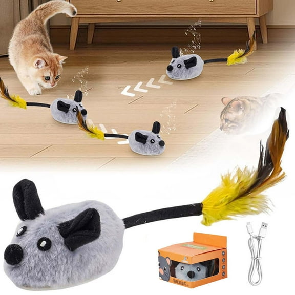 ZZkhGO Interactive Electronic Mouse Toy, Remote Control Moving Cat Toy with Squeak, Self-Play Exercise Toy for Pets