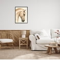 thumbnail image 2 of Stupell Industries Horse Portrait Farm Animal Graphic Art Black Framed Art Print Wall Art, Design by Grace Popp, 2 of 8