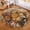 Yellow Style 3, variant on Crab Beach Round Area Rug, coastal shell circle carpet for kitchen, hallway or cottage, soft washable non-slip floor mat, fun seaside décor