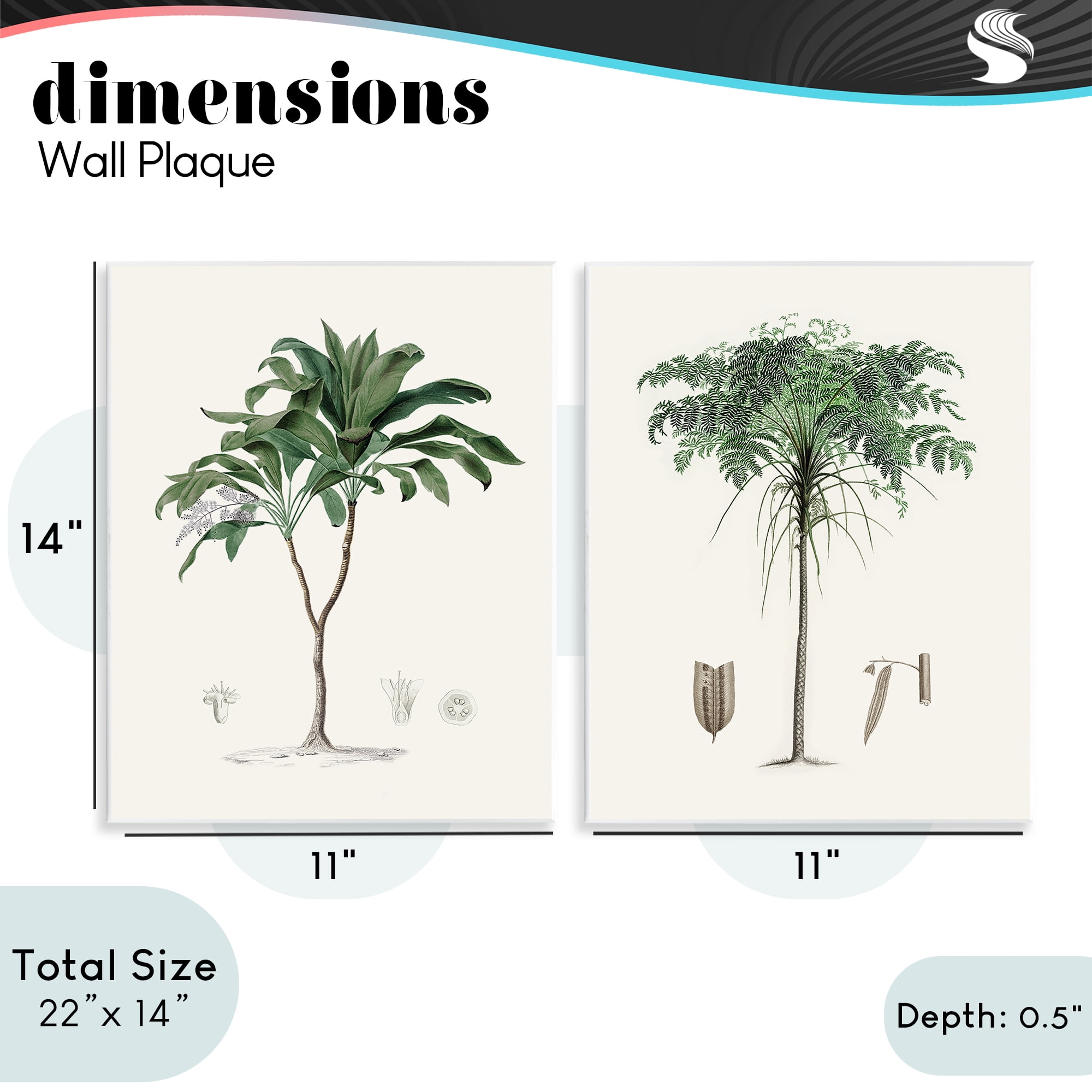 Stupell Industries Two Types of Palms 2 Piece Wall Plaque Art Set, design by Val Rhodes