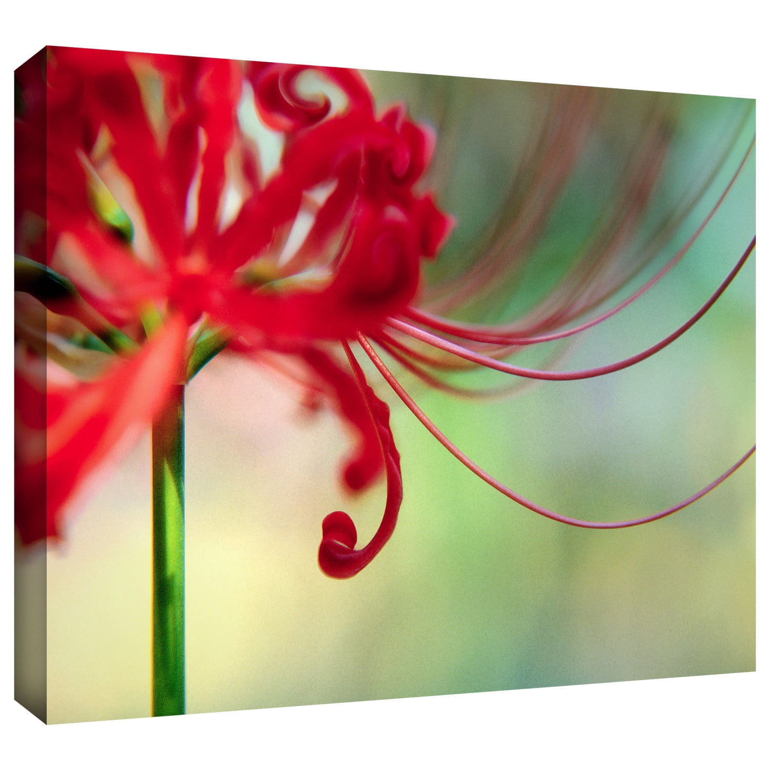 Dean Uhlinger "Soft Spring" Gallery-Wrapped Canvas