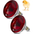 thumbnail image 1 of W Heat Lamp Infra Heat Lamp Bulb for Chicks Reptile Puppies Brooder Bulb Food Service Bathroom Light Therapy Use E Base, 1 of 6
