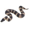 thumbnail image 1 of Figura Modelo De Serpiente, Modelo De Serpiente Amplia Gama De Aplicaciones Maravilloso Juguete Educativo Para Niños Para Jardines, 1 of 7