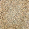 thumbnail image 5 of Flukers Freeze-Dried River Shrimp for Reptiles and Fish, 5 of 5