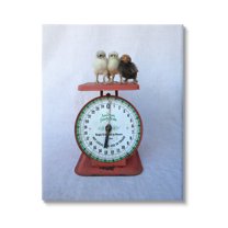 Stupell Industries Country Baby Chick Birds on Vintage Kitchen Scale Photograph Gallery Wrapped Canvas Print Wall Art, Design by Tania Soderman