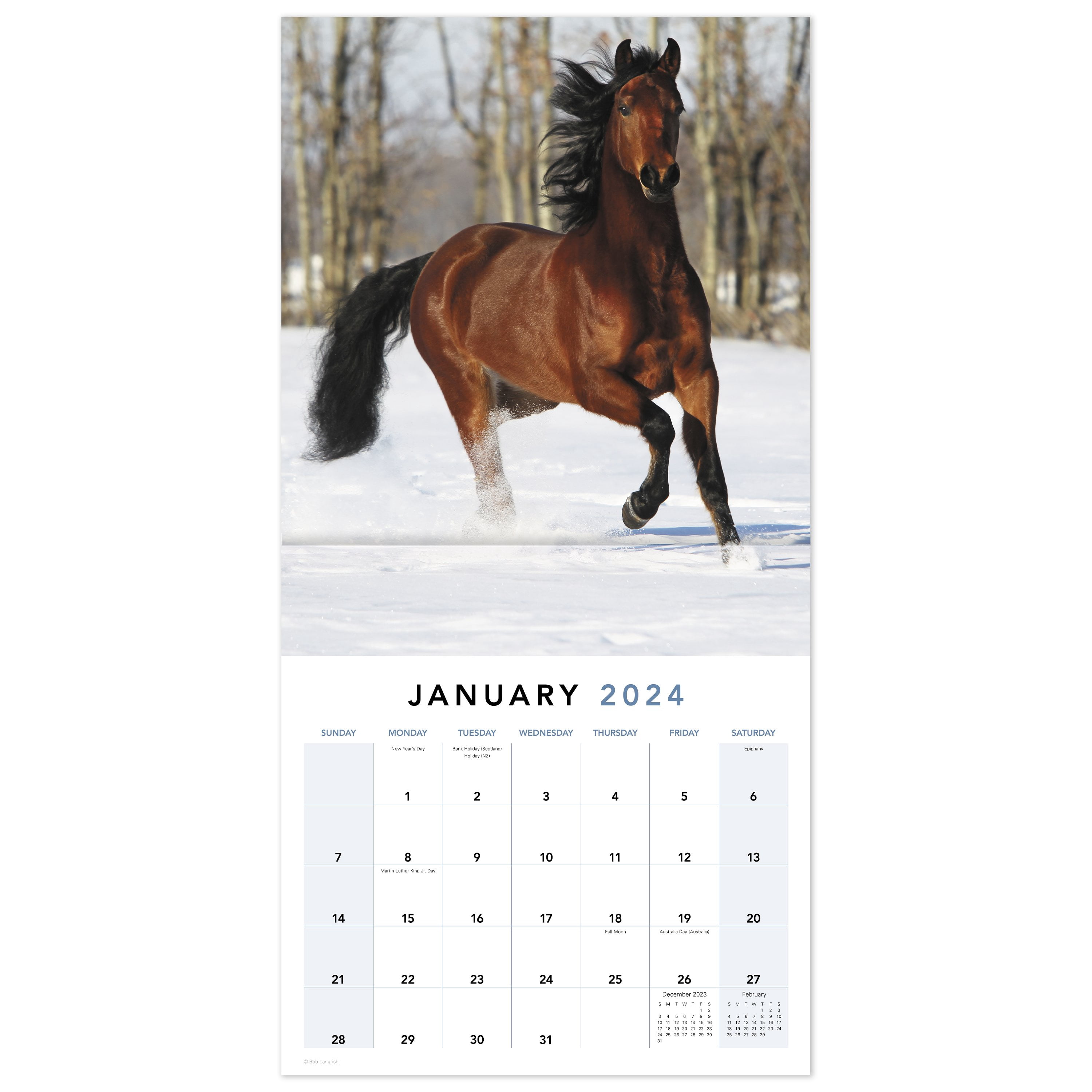 Horses 2024 Monthly Wall Calendar 12 x 12 - Wall Calendars