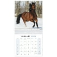 thumbnail image 6 of Horses 2024 Monthly Wall Calendar 12 x 12 - Wall Calendars, 6 of 9