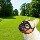 thumbnail image 1 of Bozal para perros Colco de malla transpirable para perros de hocico corto Tamaño S, 1 of 7