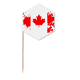 thumbnail image 1 of Canada Flavor Flag and Maple  Toothpick Flags Cupcake Picks Party Celebration, 1 of 3