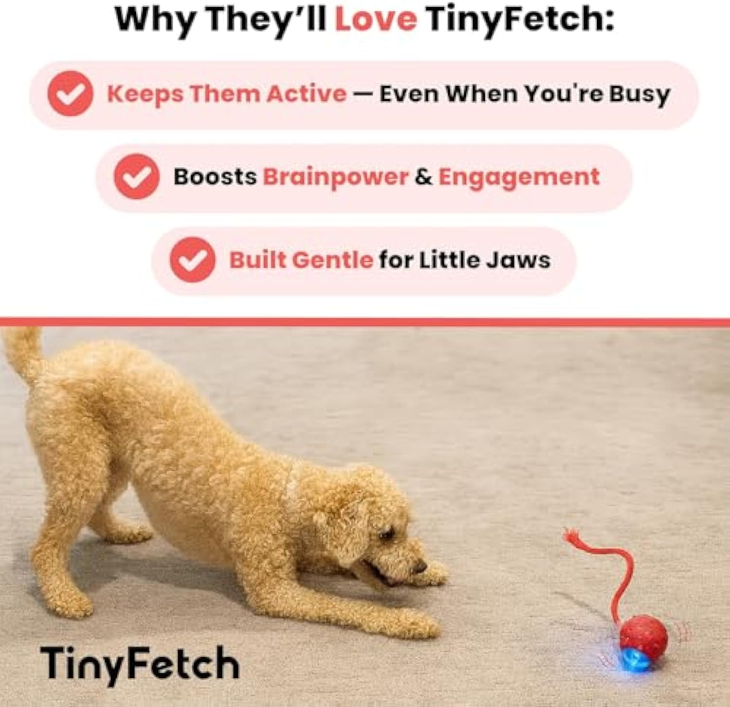 3PCS Tiny Ball Dog Toy, Tinyfetch Interactive Motion Dog Cat Toys Balls,360°Smart Automatic Rolling Electric Dogs Ball Toy with Birdsong, Fast Moving Toy for Dog and Cat,Tough Chew Proof