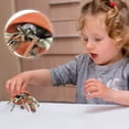 thumbnail image 4 of Dvkptbk Children's Simulation Marine Life Model Solid Hermit Crab Animal Model Decoration Toys, 4 of 5
