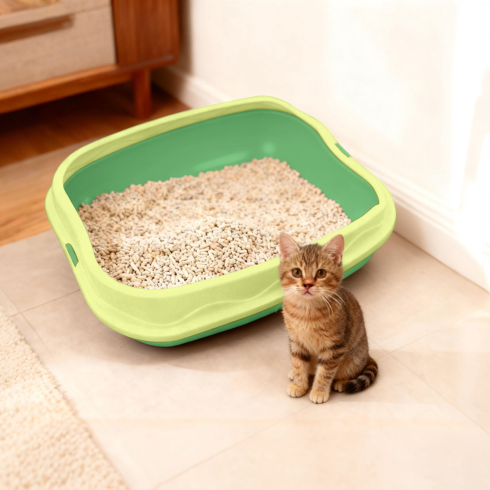 Pet Habitat Accessory for Litter Areas Enhances Control and Breathable Observation Materials for Indoor Use