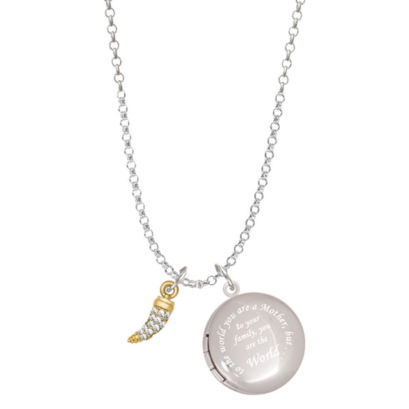 Delight Jewelry Goldtone Small Crystal Sabre Tooth To the World You are a Mother Locket Necklace