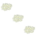 thumbnail image 3 of Advancent 500 pack/lote y artesanía propios arreglos florales únicos con estas cabezas de rosas DIY cabeza de rosa bolsa de bricolaje blanco Type1 NO1, 3 of 6