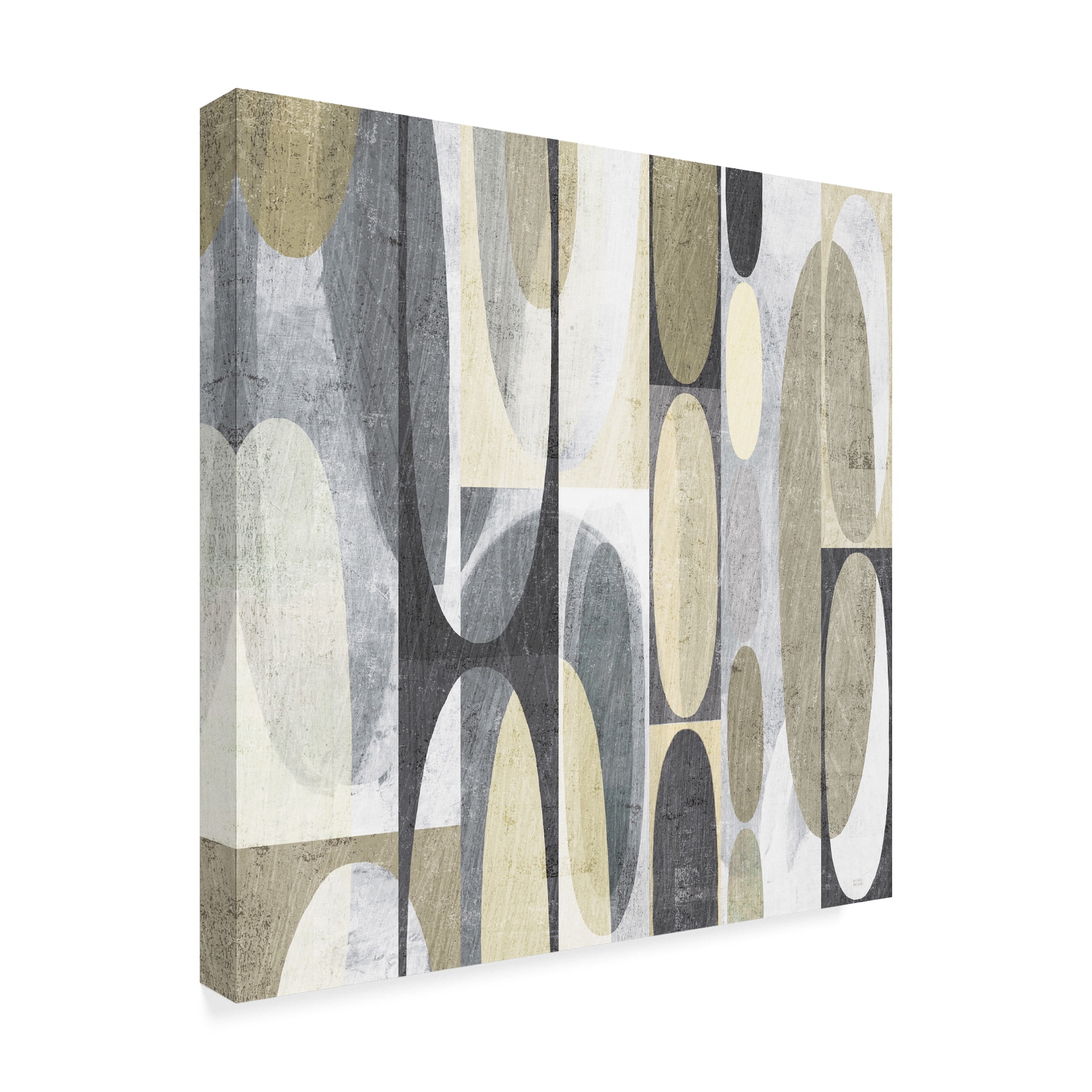 Trademark Fine Art 'Mod Pods Achroma' Canvas Art by Michael Mullan