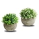 thumbnail image 3 of Bonsái de planta simulada, 2 piezas de planta simulada en maceta, decoración de escritorio, bonsái simulado magistralmente creado, 3 of 9