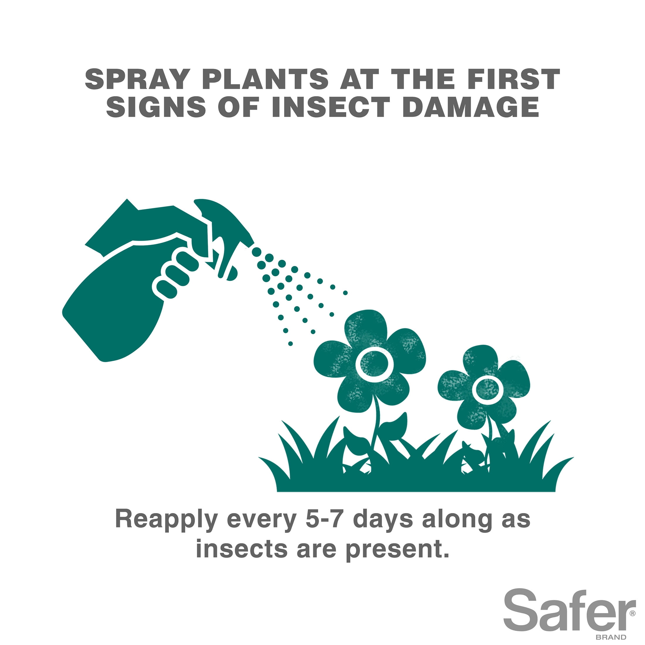 Safer Brand OMRI Listed Insect Count Killing Soap, 16 Fluid Ounce Concentrate