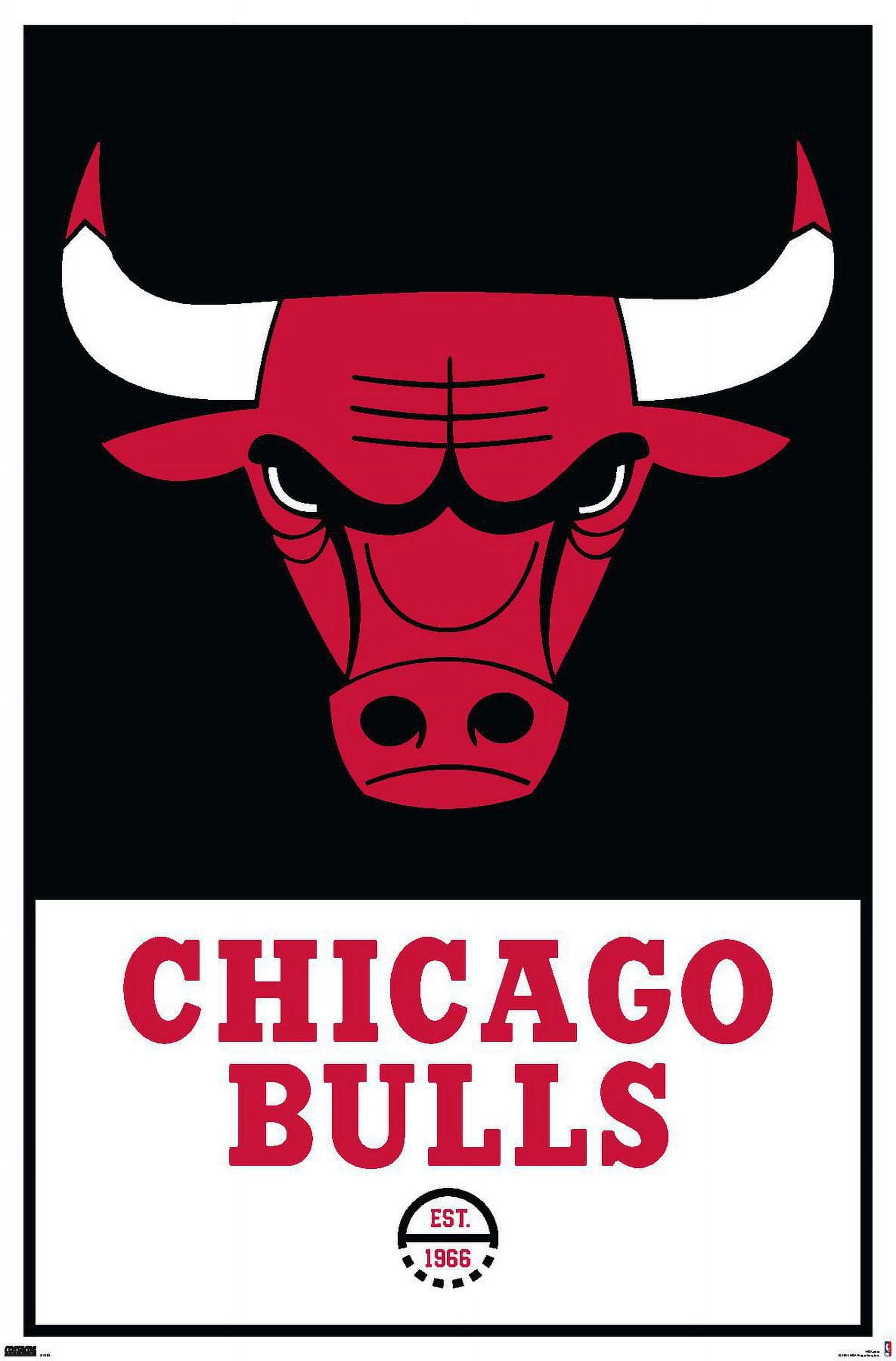 NBA Chicago Bulls - Logo 21 Wall Poster