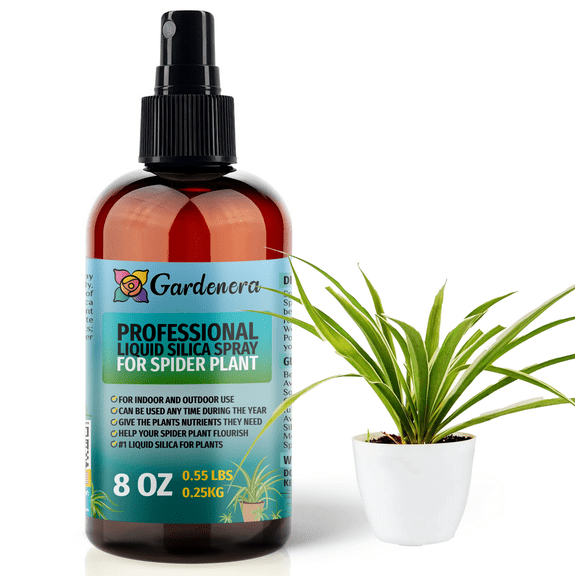 β ππππππππ Liquid Silica Boost Fertilizer and Supplement Spray for SPIDER Plants β Pre-Mixed, Ready-To-Use Liquid Silicon Plant Superfood Mist for Indoor & Outdoor Plants β 8oz