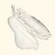 thumbnail image 3 of Jelly Multiusos con Higo Ere Perez, 3 of 4