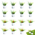 thumbnail image 1 of Maceta pequeña de simulación, decoración de micropaisaje, maceta de flores suculentas, accesorios, decoración de pasteles, decoración de mesa, 16 Uds., 1 of 5