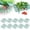 C, variant on Strawberry Plant Support Strawberry Stand Keeping Strawberry Plants Clean Strawberry Growing Racks Strawberry Growing Frame(5PCS),Wire Shelving Rack