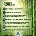 thumbnail image 6 of BOONBOO Cotton Swabs | 600 Count Bamboo Cotton Buds | Plastic-Free Plant-Based Wrap | Biodegradable & Sustainable, 6 of 6