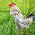 thumbnail image 4 of SKYSONIC Velvet Plush Throw Thermal Blanket 4 x 5 FT Rooster On Green Lawn Flannel Fleece Blanket for Women Kids Couch Bed Sofa Car, 4 of 5