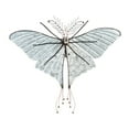 thumbnail image 3 of BUTTERFLY WALL ART, Pink, 3 of 3