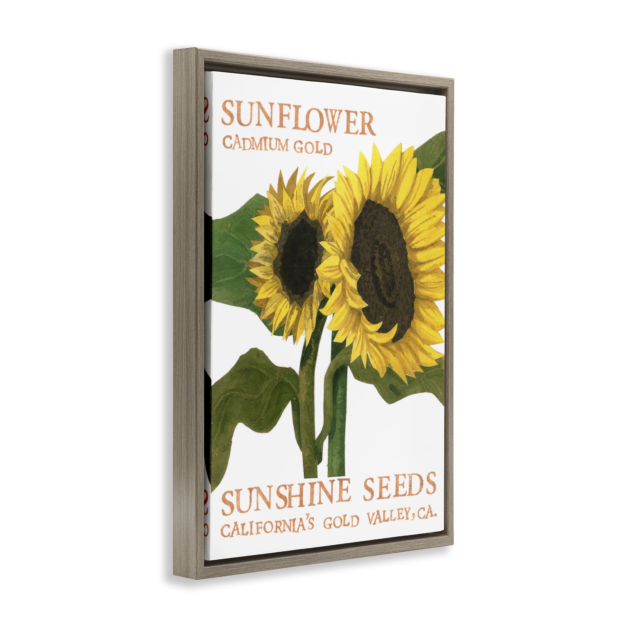 Stupell Industries Sunflower Seeds Design Typography Painting Brown Floater Framed Art Print Wall Art, 17 x 25