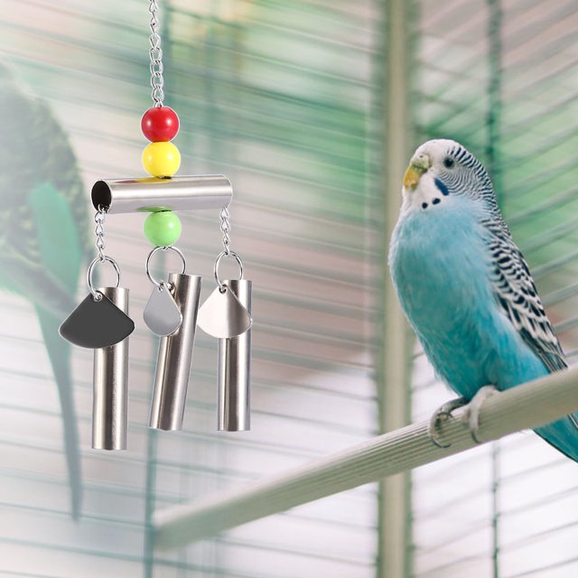 Bird Cage, Bird Play Stand Bird Cage Budgy Durable For Home Decor