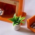 thumbnail image 4 of Planta miniatura Sunnimix 1:12 Cycas Verde, 4 of 6
