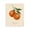 Vintage Orange Citrus Portrait, variant on Stupell Industries Cottage Orange Fruit Portrait Canvas Art, 16 x 20, by Danielle Murray