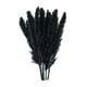 thumbnail image 1 of Ramo de flores secas de hierba de la Pampa (Phragmites) para la mesa del salón. Negro, 1 of 9