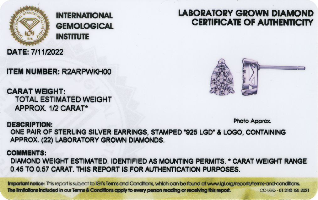 Morgan & Paige 1/2 CT TW Lab Grown Diamond Earrings in Platinum over Sterling Silver, Adult Female