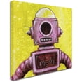 thumbnail image 2 of Trademark Fine Art 'Mehbot' Canvas Art by Craig Snodgrass, 2 of 3