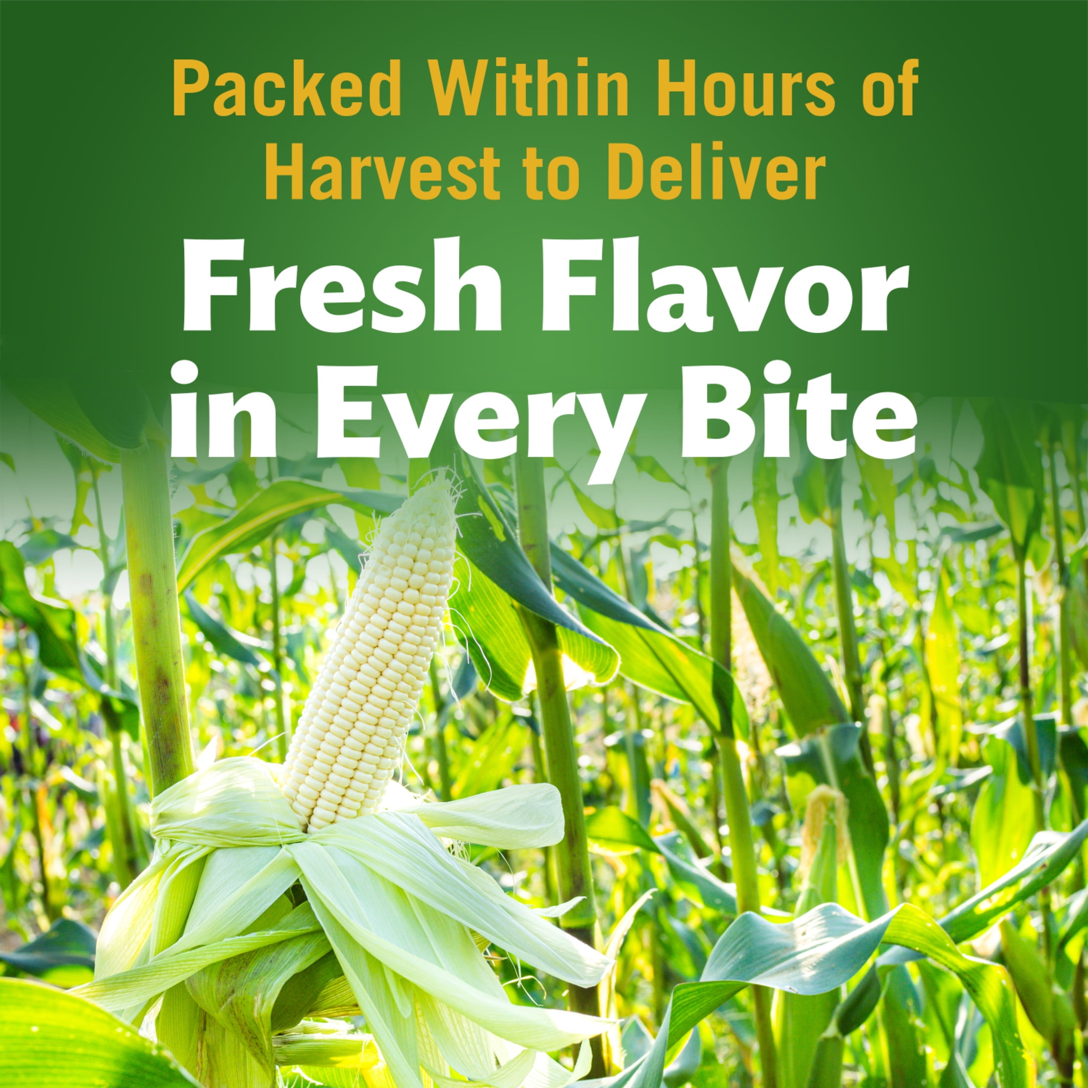 (12 pack) Del Monte Harvest Selects Sweet White Whole Kernel Corn, 15.25 oz Can, Canned Vegetables