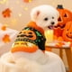 thumbnail image 2 of Jersey De Halloween Para Perros Y Gatos, Cálido, De Punto Acrílico, Disfraz, Ropa, Atuendo Festivo, Para Interior Y Exterior., 2 of 4
