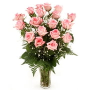 Beautiful Bi-Color Pink Roses