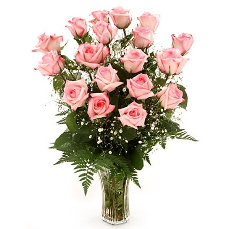 Beautiful Bi-Color Pink Roses