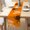 Orange, variant on Nrmvnmi Pumpkins Vine Fall Table Runner, Seasonal Autumn Thanksgiving Kitchen Dining Table Decoration for Halloween Home Party Decor 13x72 Inch