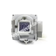 thumbnail image 3 of Viewsonic RLC-100 Projector Lamp with Module, 3 of 3