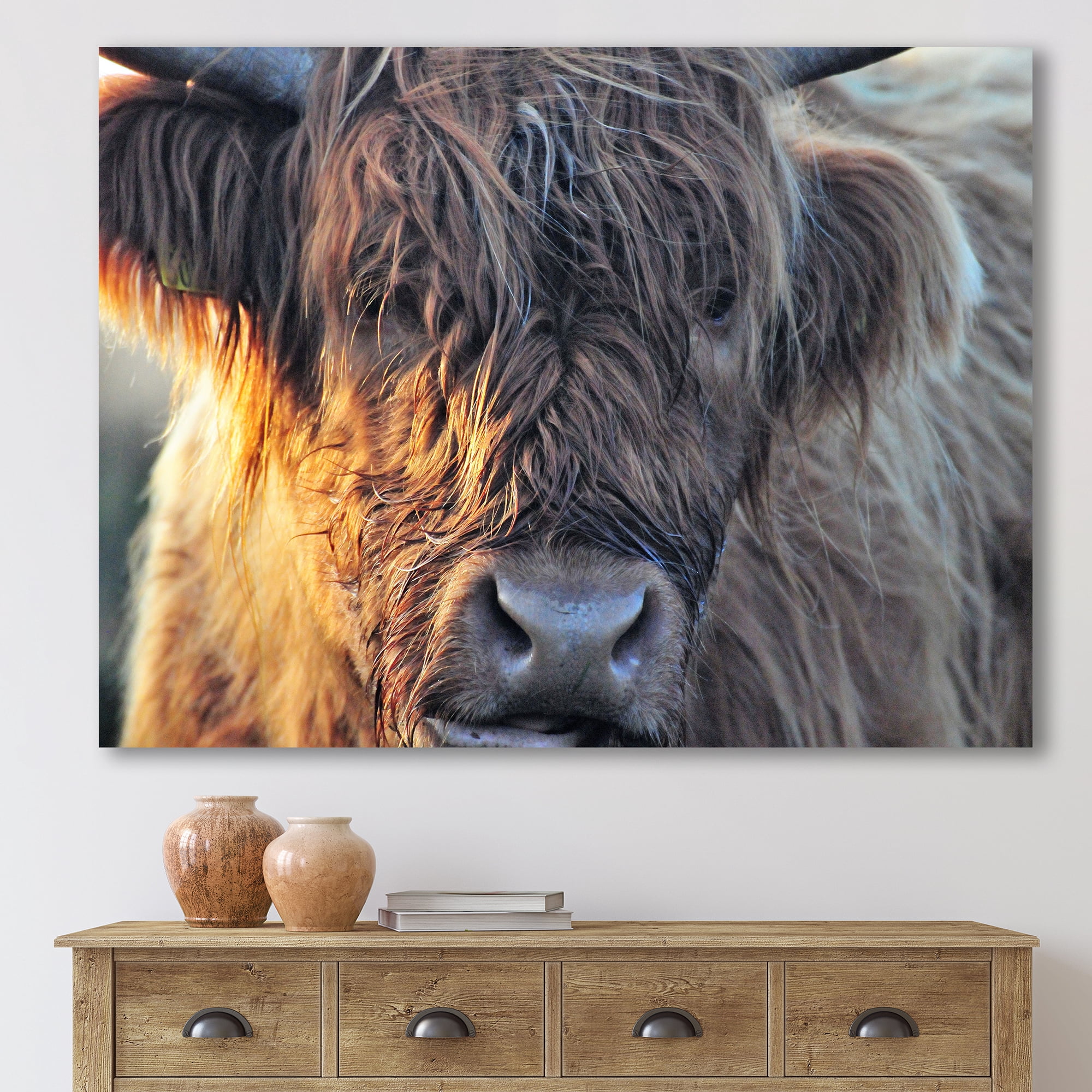 Designart ' Close Up Of Scottish Cow On Moorland III ' Farmhouse Canvas Wall Art Print