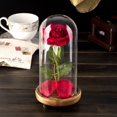 thumbnail image 4 of Kit de rosa de La Bella y la Bestia, rosa y luz LED en cúpula de cristal sobre base de madera para decoración del hogar, cumpleaños, boda, día de San Valentín (rojo) Fokelyi LL-1802, 4 of 6