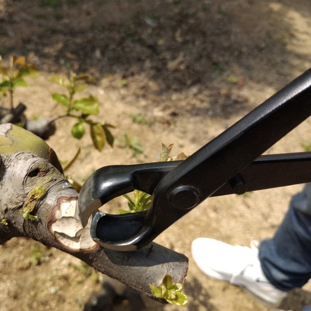 Garden Trimming Kit, 4pcs Scissors Bonsai Tool Set, Garden Cutting Tool For Park Orchard