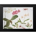 thumbnail image 2 of Blackadder, Elizabeth 14x11 Black Modern Framed Museum Art Print Titled - Orchid Studies, 2 of 5