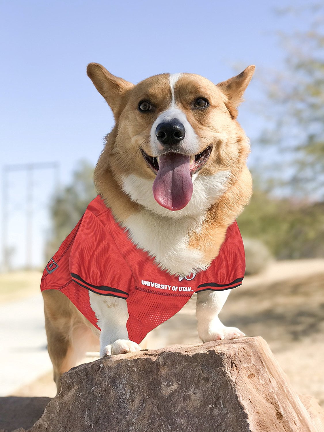 Pets First Collegiate Utah Utes Football/Basketball Mesh Jersey for Pet Dog. available in 40+ Teams - Extra Large