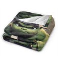 thumbnail image 3 of Manta de franela de Hulk, suave y acogedora manta de felpa para todas las estaciones para niños, niñas y adultos, manta cálida y ligera para sofá cama o viaje de 80 x 60 pulgadas, 3 of 8