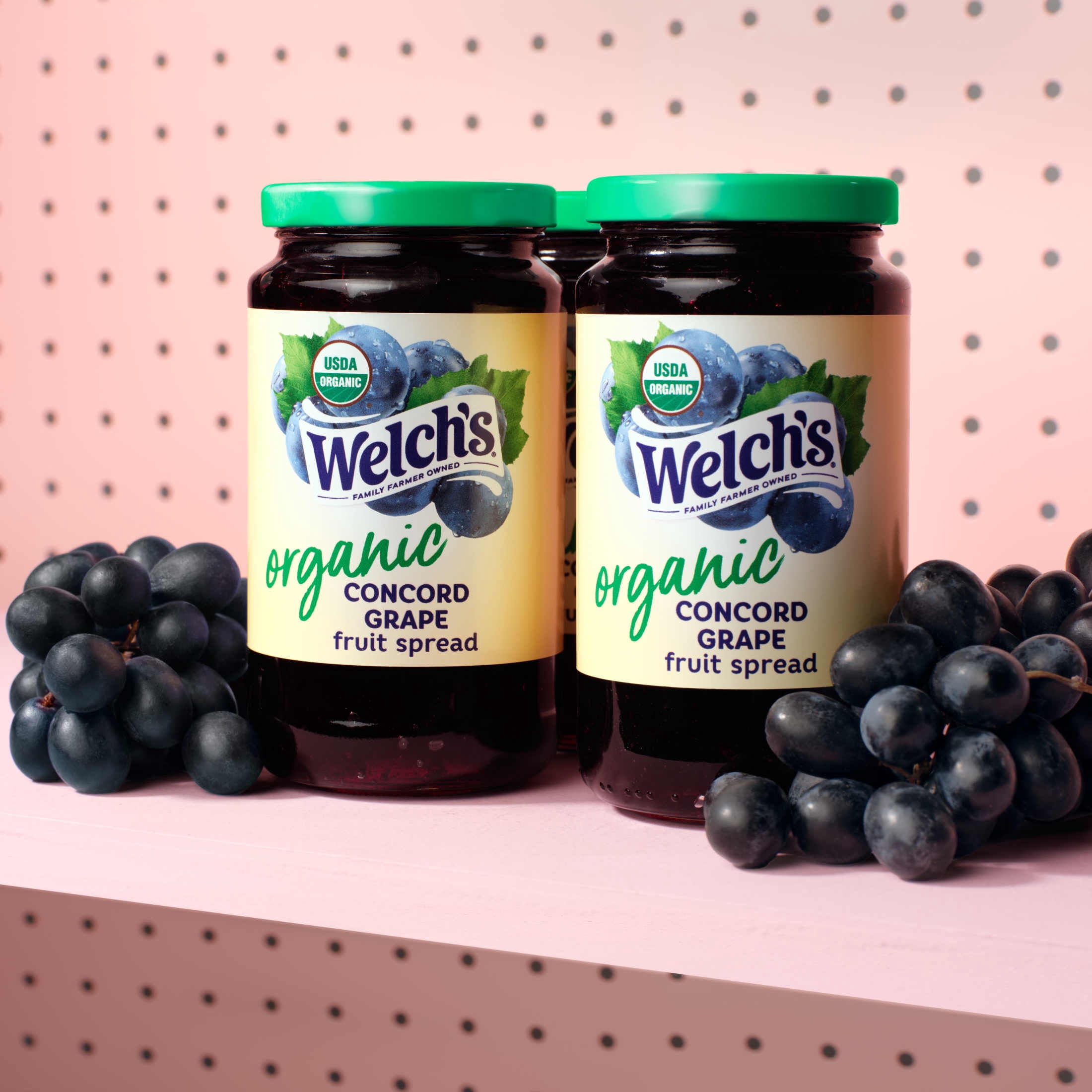 Welch's Concord Grape Organic Spread, 18 oz Jar